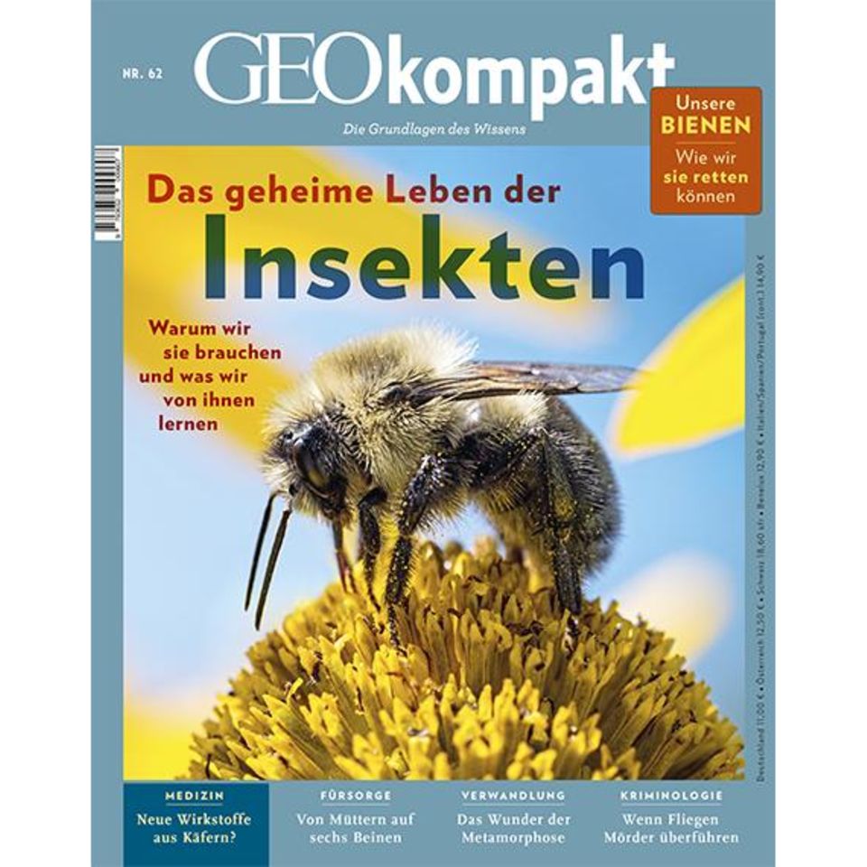 GEO KOMPAKT Nr. 62: GEO KOMPAKT Nr. 62 -  Das geheime Leben der Insekten