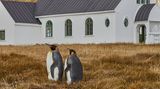 GEO LESERFOTO: Die besten Leserfotos: März 2020 - Bild 11