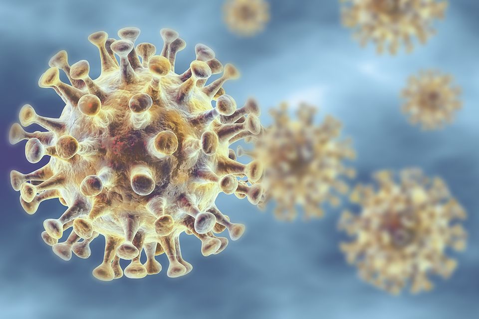 Corona-Virus