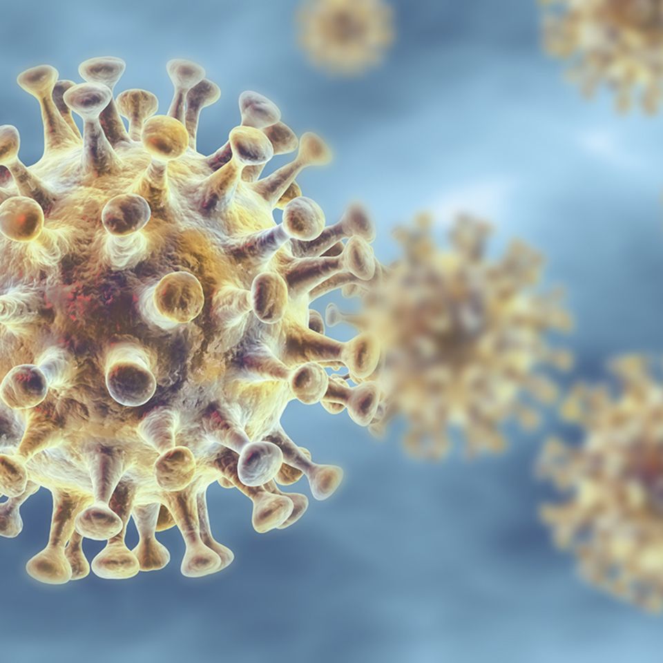 Corona-Virus