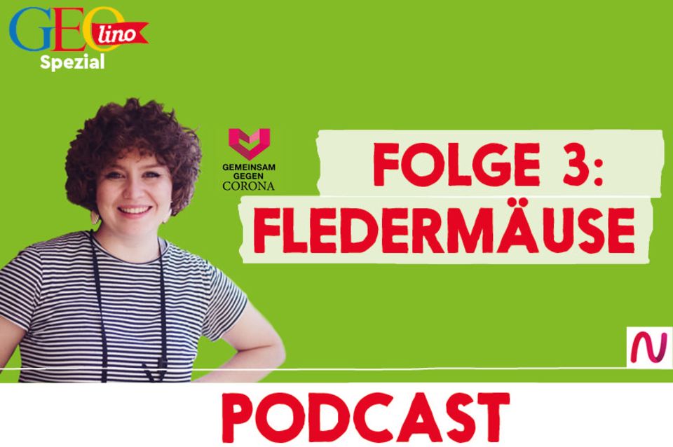 GEOlino-Podcast Folge 3: Gemeinsam gegen Corona: Fledermäuse
