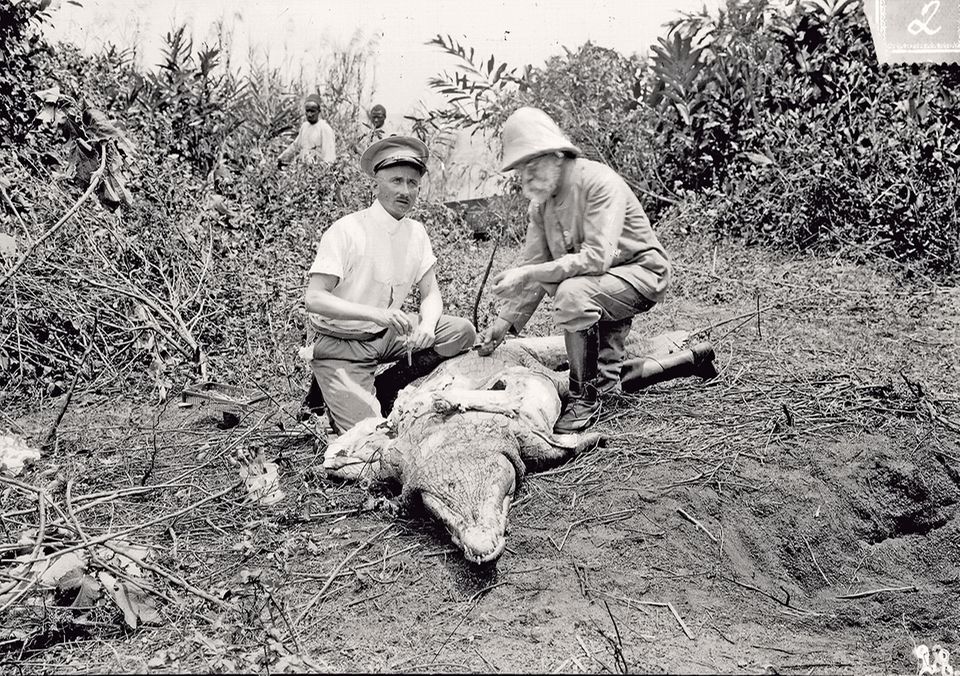 Robert Koch auf der Suche nach dem Ursprung der Schlafkrankheit