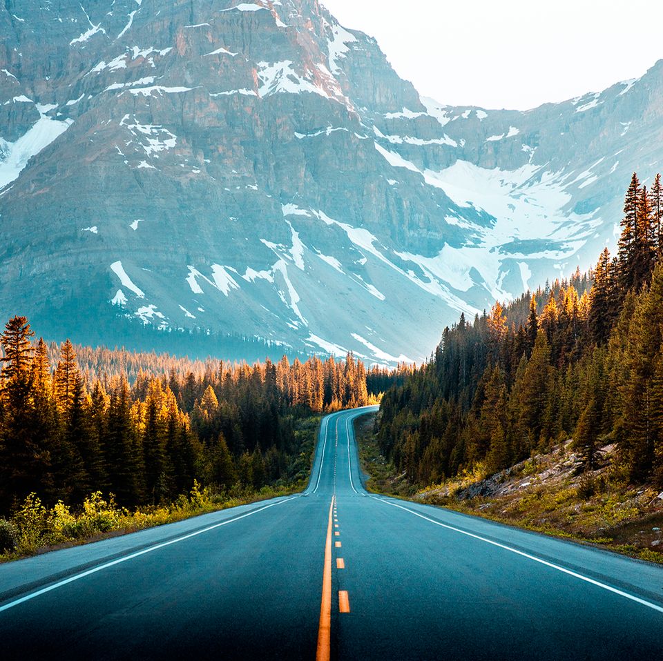 Banff Nationalpark Icefields Parkway