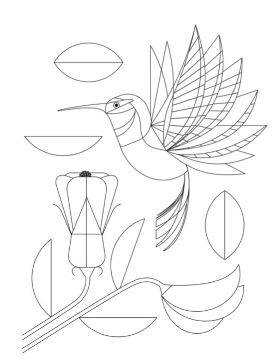 ein kolibri zum ausmalen  geolino