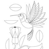 Ein Kolibri zum Ausmalen