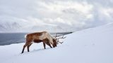 GEO LESERFOTO: Die besten Leserfotos: März 2020 - Bild 3