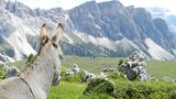 Südtirol