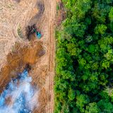 Amazonas Regenwald Rodung