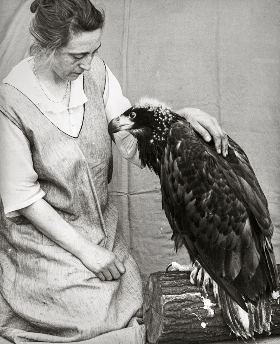 Oskar und Magdalena Heinroth Im Liebesnest der Vogelforscher