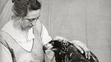 Die Vogel-WG