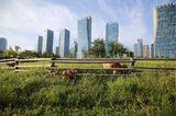 Songdo