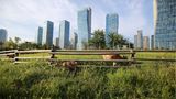 Songdo