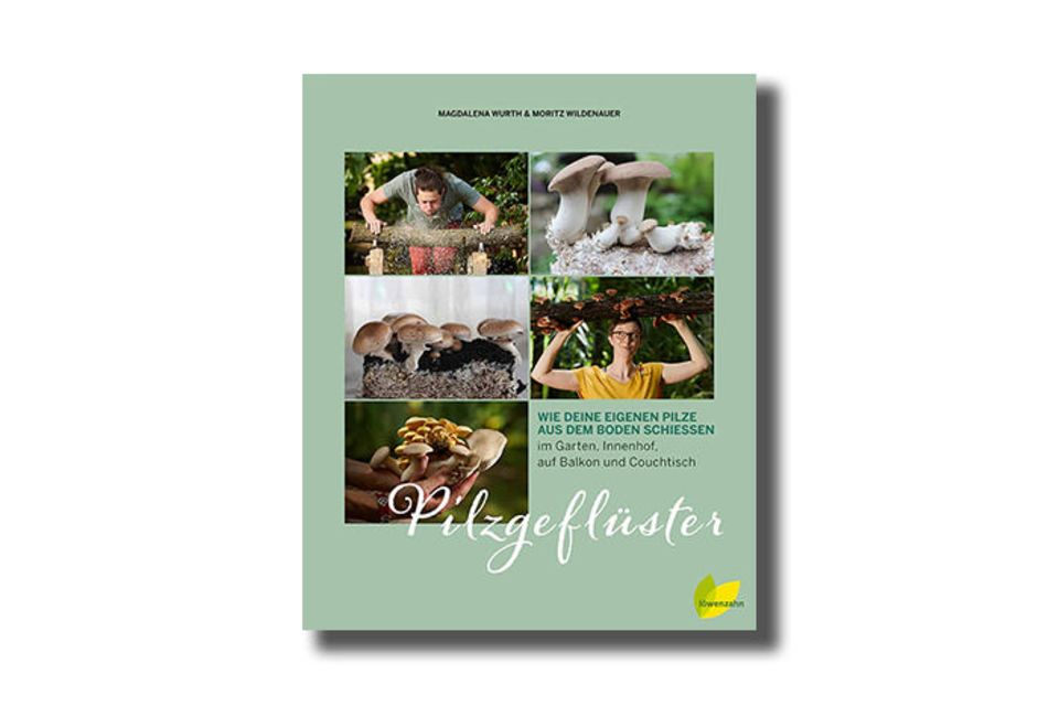 Pilzgeflüster Pilzgeflüster