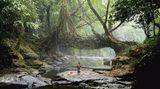 Indigene Architektur: So bauen Menschen seit Jahrtausenden mit der Natur