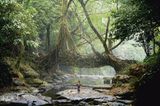 Indigene Architektur: So bauen Menschen seit Jahrtausenden mit der Natur
