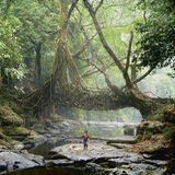 Indigene Architektur: So bauen Menschen seit Jahrtausenden mit der Natur