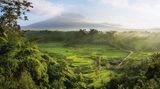 Indigene Architektur: So bauen Menschen seit Jahrtausenden mit der Natur - Bild 2