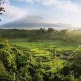 Indigene Architektur: So bauen Menschen seit Jahrtausenden mit der Natur - Bild 2