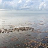 Indigene Architektur: So bauen Menschen seit Jahrtausenden mit der Natur - Bild 8