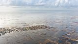 Indigene Architektur: So bauen Menschen seit Jahrtausenden mit der Natur - Bild 8