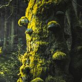 GEO LESERFOTO: Die besten Leserfotos: April 2020 - Bild 13