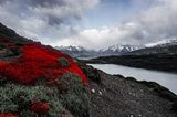 Torres del Paine