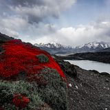 Torres del Paine