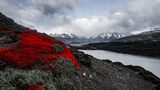Torres del Paine