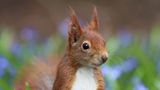 GEO LESERFOTO: Die besten Leserfotos: April 2020 - Bild 11