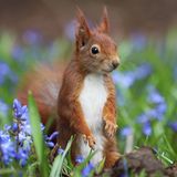 GEO LESERFOTO: Die besten Leserfotos: April 2020 - Bild 11