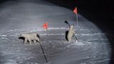 World Press Photo: die besten Natur- und Umweltfotos