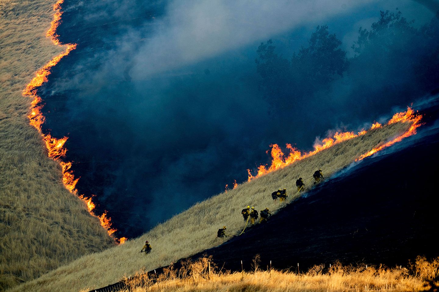 World Press Photo : Pressebilder des Jahres: Das sind die besten Natur- und Umweltfotos - Bild 2