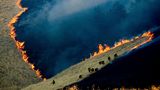 World Press Photo : Pressebilder des Jahres: Das sind die besten Natur- und Umweltfotos - Bild 2