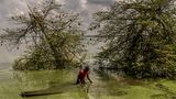 World Press Photo : Pressebilder des Jahres: Das sind die besten Natur- und Umweltfotos - Bild 3