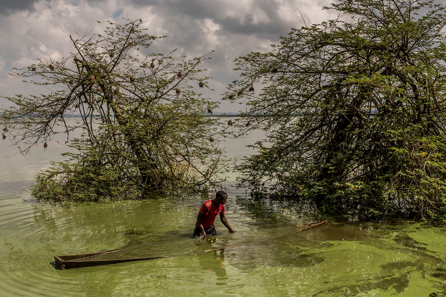 World Press Photo : Pressebilder des Jahres: Das sind die besten Natur- und Umweltfotos - Bild 3
