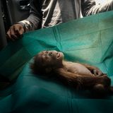 World Press Photo : Pressebilder des Jahres: Das sind die besten Natur- und Umweltfotos - Bild 4