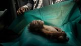 World Press Photo : Pressebilder des Jahres: Das sind die besten Natur- und Umweltfotos - Bild 4