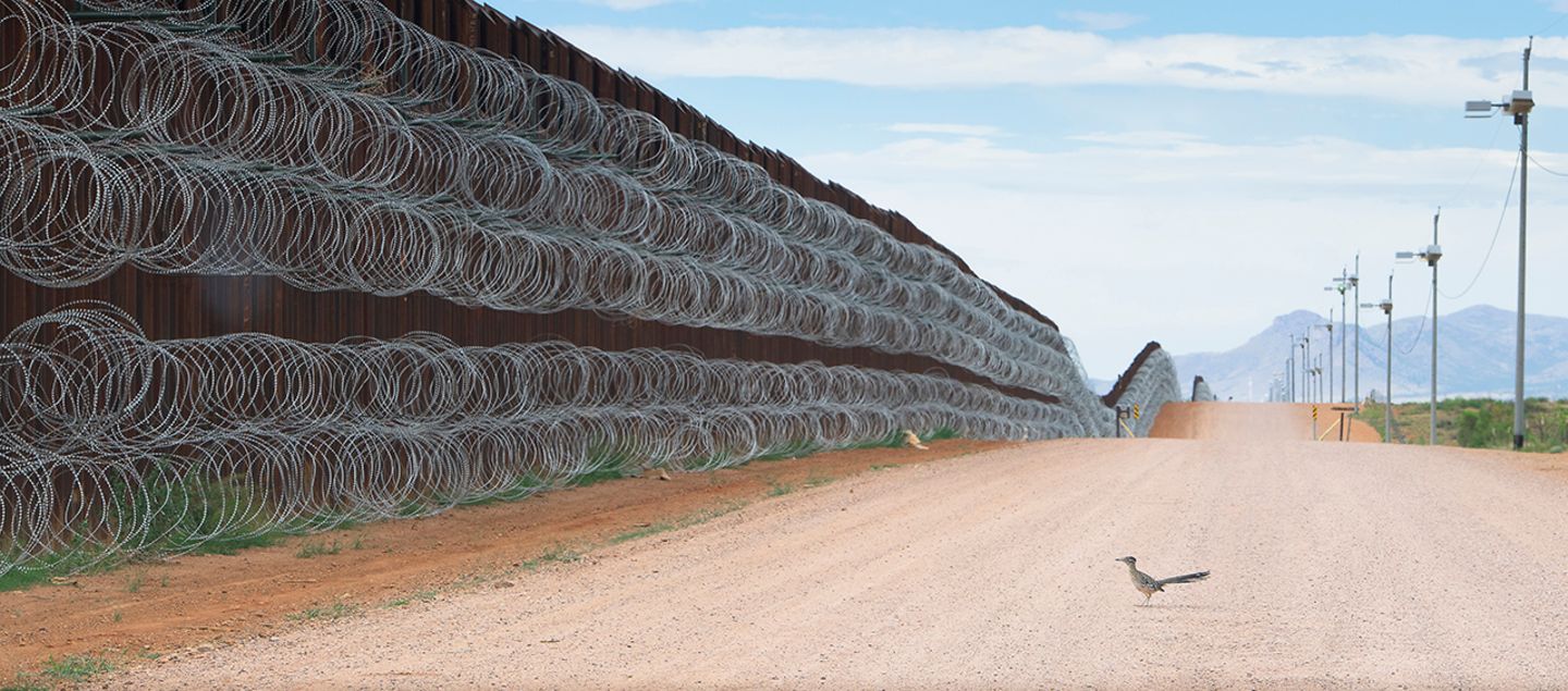 World Press Photo : Pressebilder des Jahres: Das sind die besten Natur- und Umweltfotos - Bild 5
