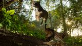 World Press Photo : Pressebilder des Jahres: Das sind die besten Natur- und Umweltfotos - Bild 6