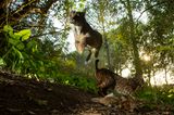 World Press Photo : Pressebilder des Jahres: Das sind die besten Natur- und Umweltfotos - Bild 6