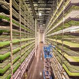 World Press Photo : Pressebilder des Jahres: Das sind die besten Natur- und Umweltfotos - Bild 7