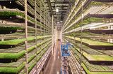 World Press Photo : Pressebilder des Jahres: Das sind die besten Natur- und Umweltfotos - Bild 7