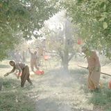 World Press Photo : Pressebilder des Jahres: Das sind die besten Natur- und Umweltfotos - Bild 8