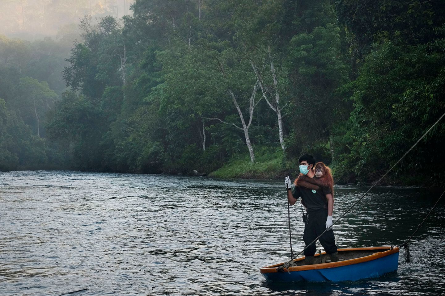 World Press Photo : Pressebilder des Jahres: Das sind die besten Natur- und Umweltfotos - Bild 10 World Press Photo : Pressebilder des Jahres: Das sind die besten Natur- und Umweltfotos - Bild 10