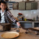 World Press Photo : Pressebilder des Jahres: Das sind die besten Natur- und Umweltfotos - Bild 11