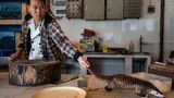 World Press Photo : Pressebilder des Jahres: Das sind die besten Natur- und Umweltfotos - Bild 11