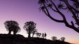 GEO LESERFOTO: Die besten Leserfotos: April 2020 - Bild 10