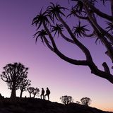 GEO LESERFOTO: Die besten Leserfotos: April 2020 - Bild 10