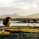 GEO LESERFOTO: Die besten Leserfotos: April 2020 - Bild 9