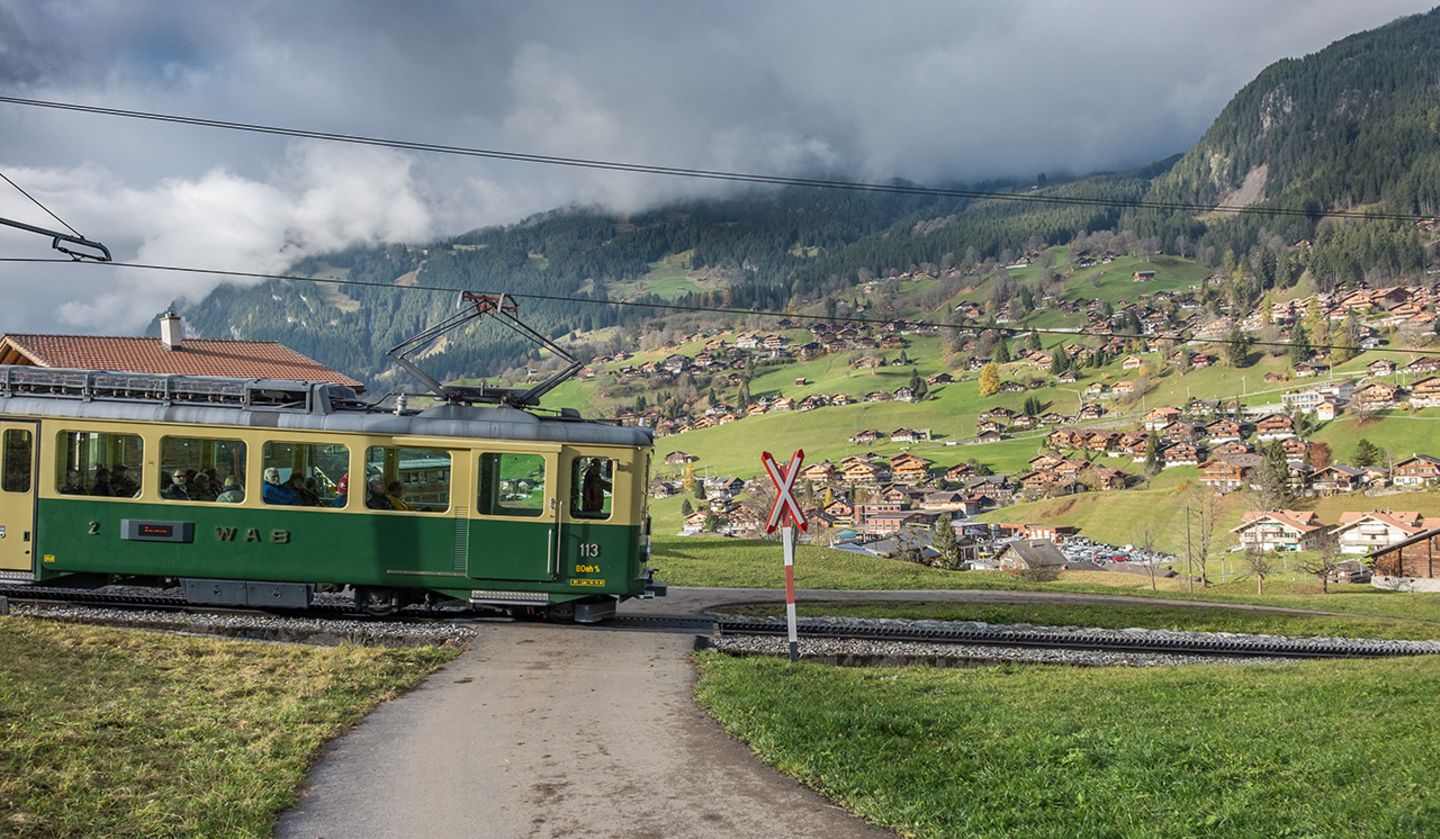 Wengernalpbahn, Schweiz